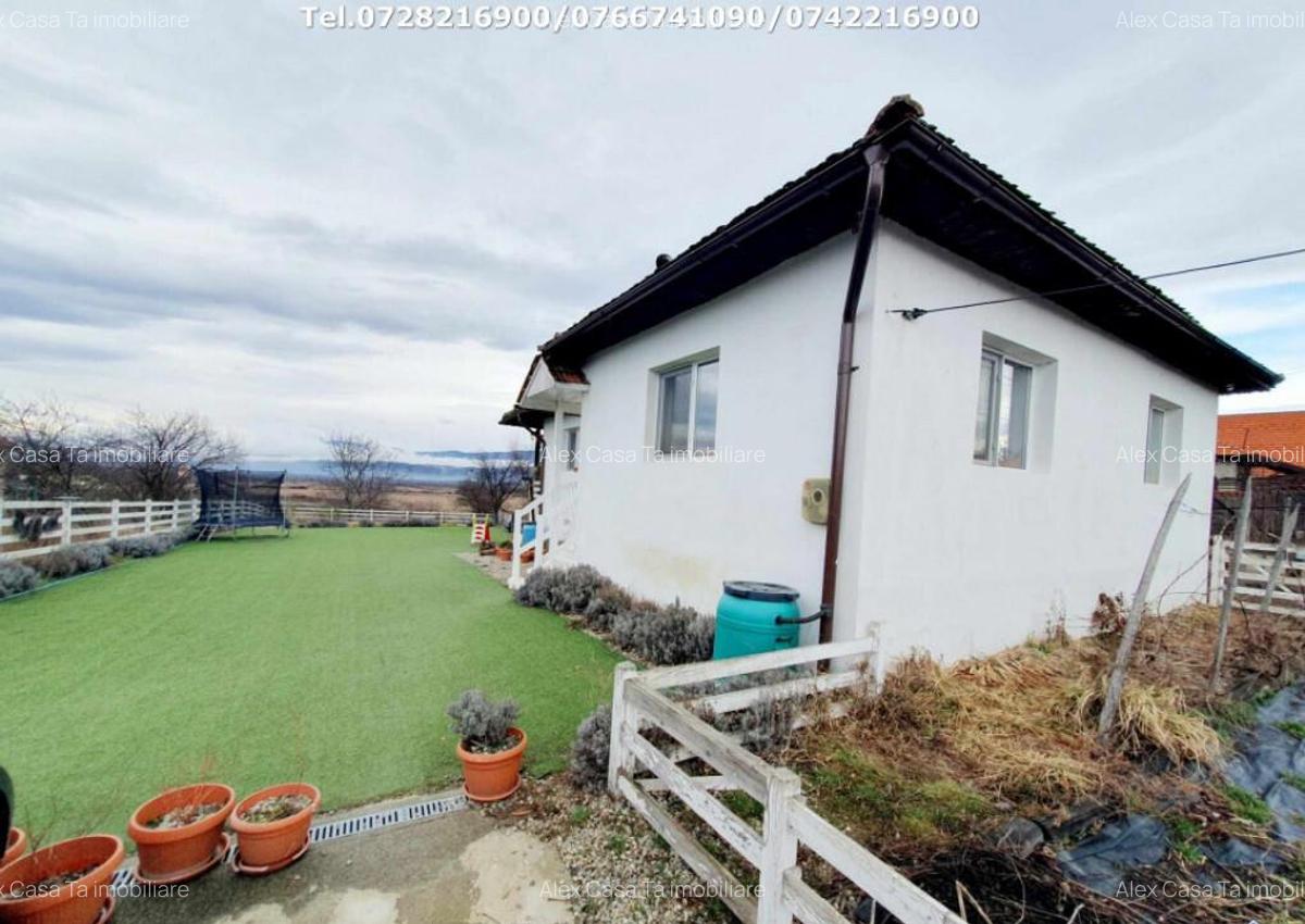 Inchiriere casa cocheta, situata in Tetila (Curti?oara Go - 15