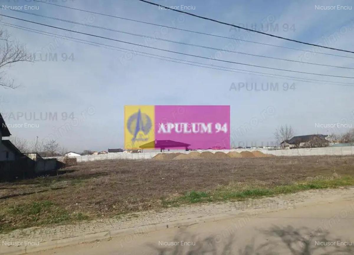 Teren intravilan cu utilitati Dragomiresti Vale - 2