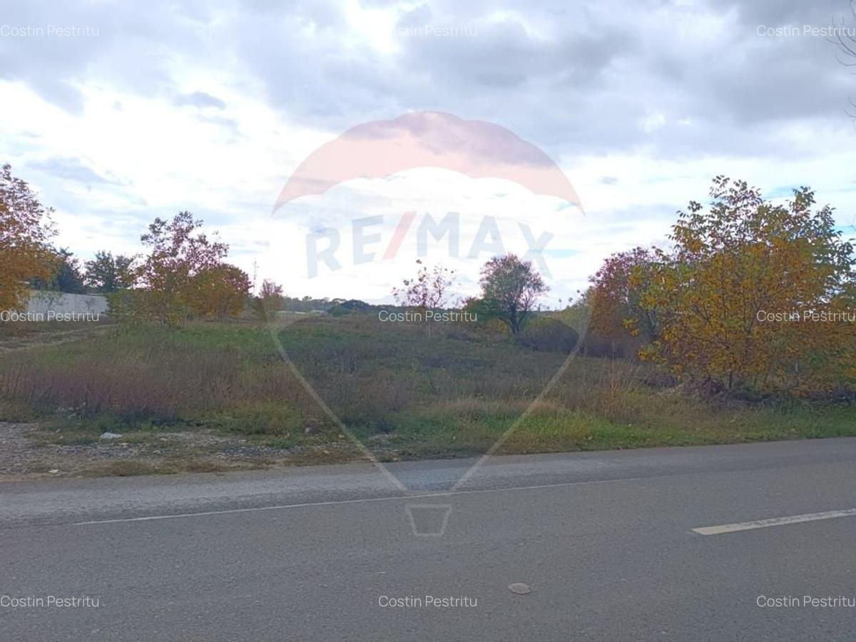 Teren 2,056mp Ciolpani - 11