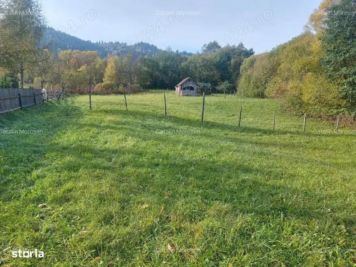 Spre vanzare proprietate 4688 mp in Campulung Moldovenesc - 12