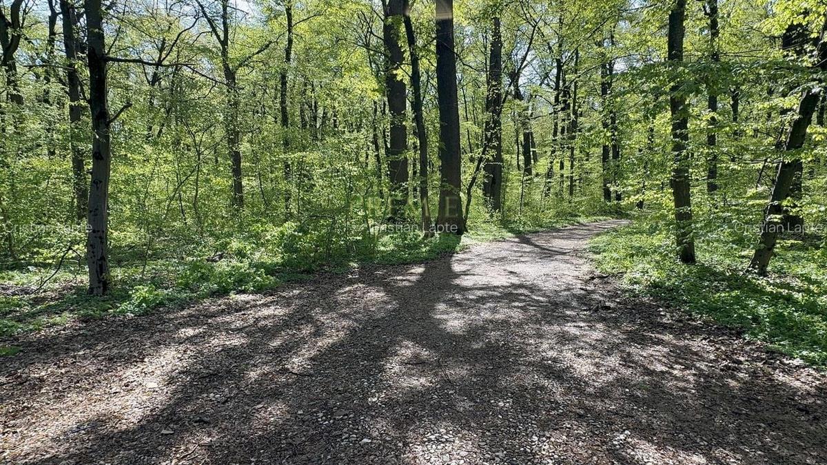 TEREN 7000 MP| DESCHIDERE 40 ML | INTRAVILAN-PADURE | POT 5% | TEREN UNIC | - 3