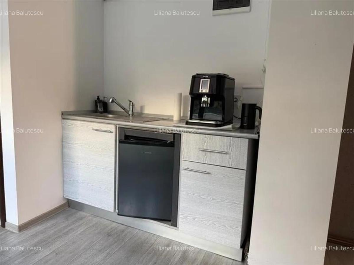 Unirii-Traian, birou modern, parter inalt, terasa proprie - 4