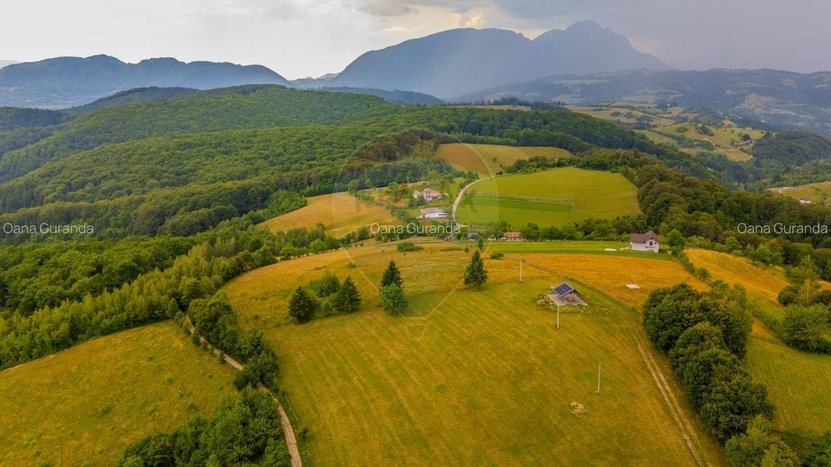 Teren Construcții intravilan de 11600 mp, în Poiana Mărului - 3