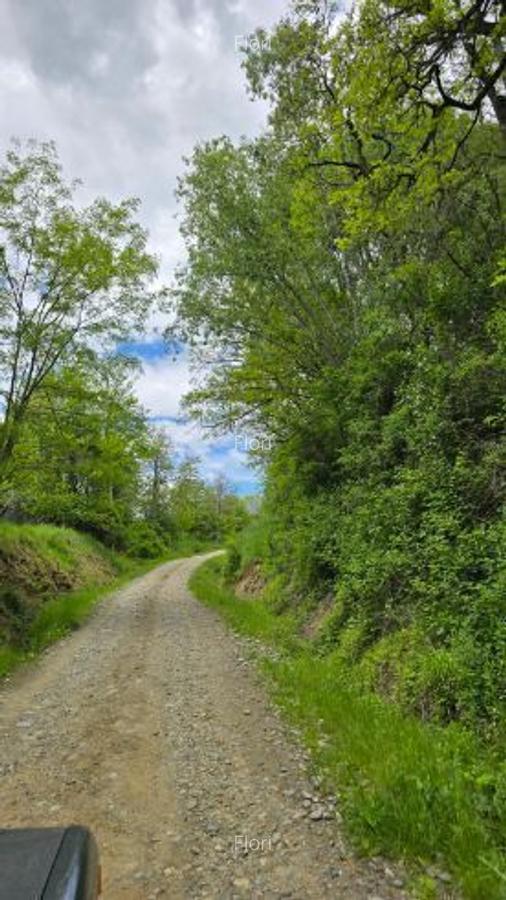 Vand Teren Corbeni, Arges zona Cetatea Poenari, Transfagarasan - 8