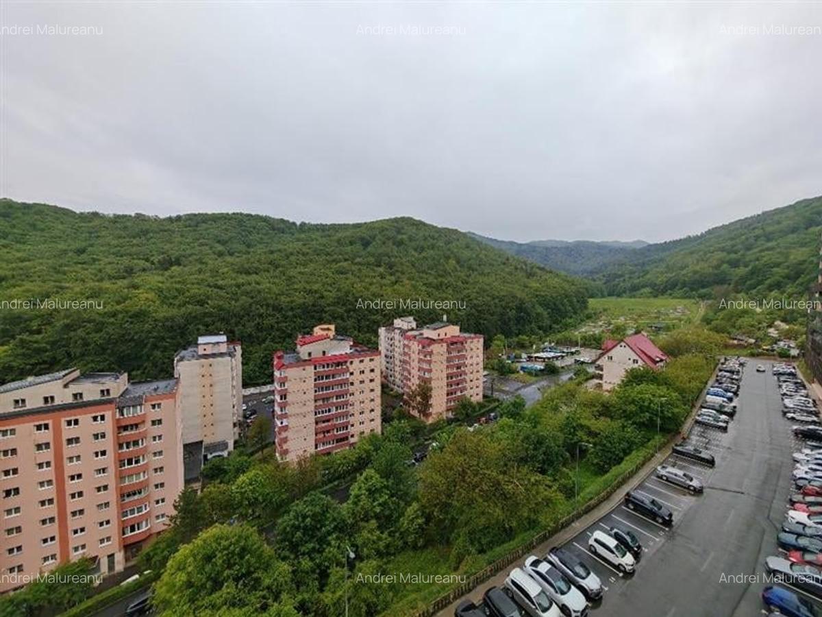 Inchiriem Apartament 2 Camere, Partial Mobilat, Open Space, Racadau - 8