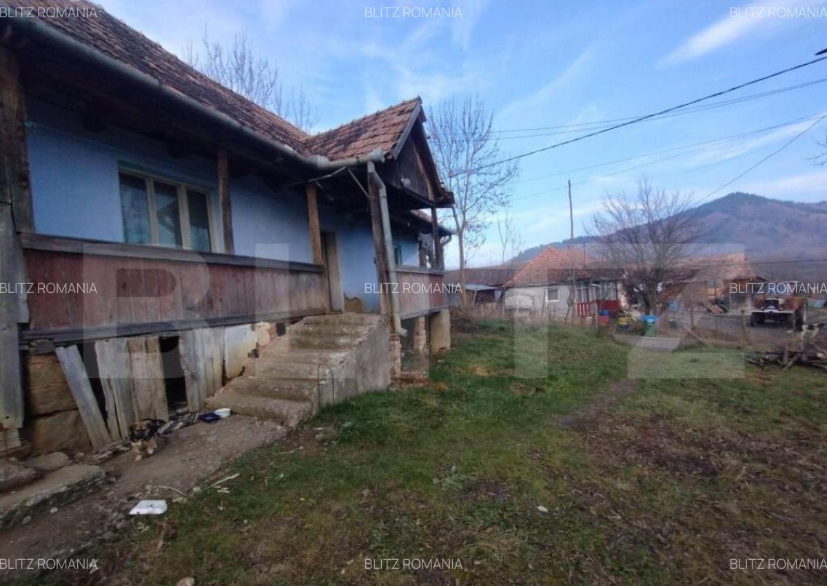 Casa batraneasca,55mp utili, teren aferent 2700mp+1ha teren - 5