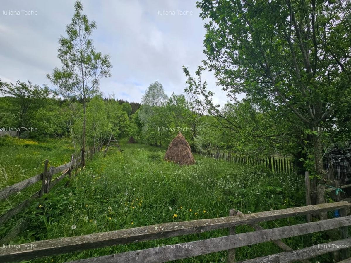 Teren Construcții intravilan de 1660 mp, în Valea Doftanei - 1