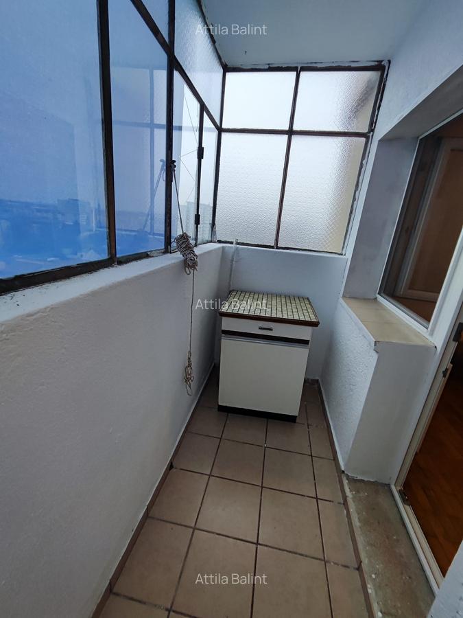 Sagului 3 camere 105000 euro - 10