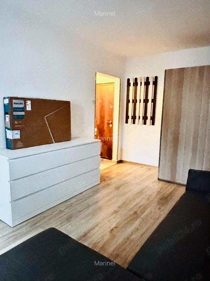 Inchiriere apartament cu o camera in zona Dambovita - 2