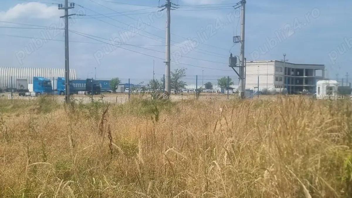 Vand teren intravilan, curti-constructii, drumul Cetului, in spate la Auchan, Bradu - 4