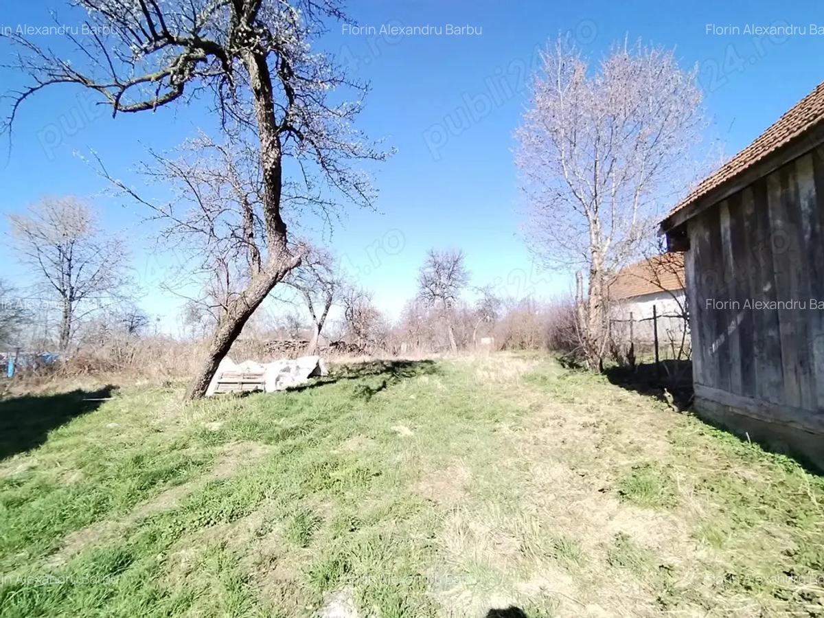 Casa tradi?ionala cu 2 corpuri, grajd, ?ura ?i 1200 mp teren Lisa, Bra?ov ideal turism rural - 8