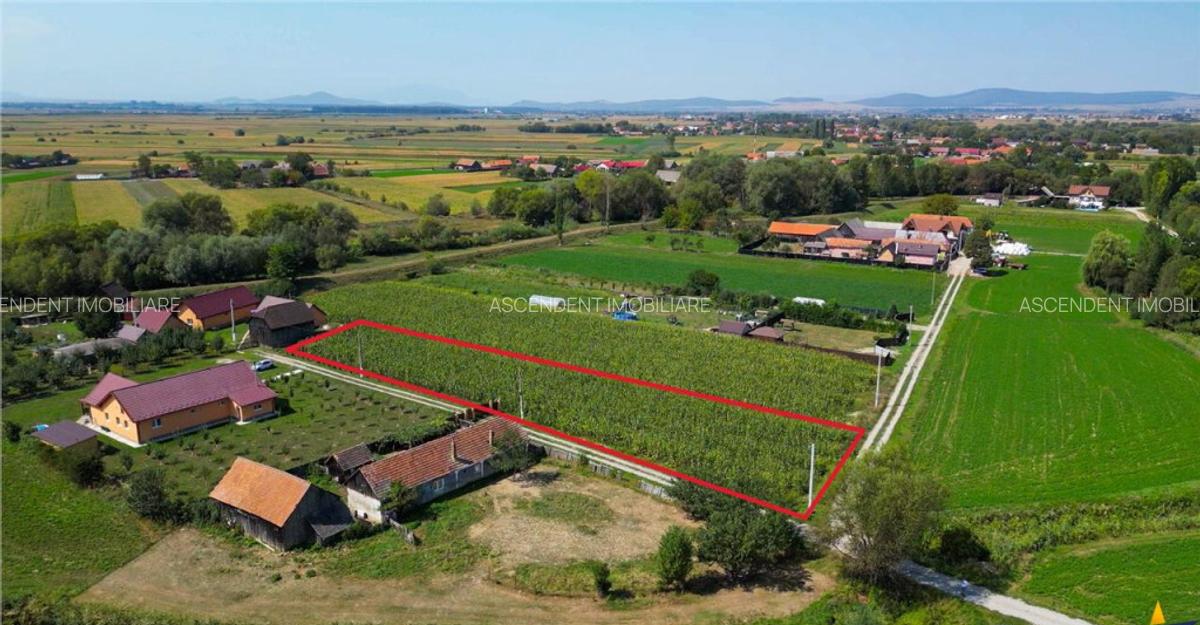 2.000mp intravilan, Bacel, zona linistita, intre Brasov si S - 1