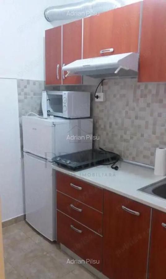 Apartament 1 camera Take Ionescu - 6