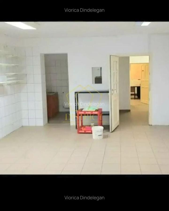 Spatiu Comercial SAD vad bun I Sagului - 5