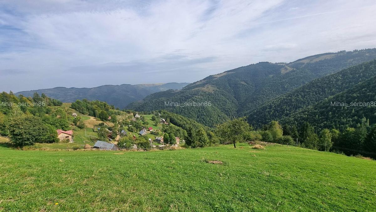 Vand teren la munte pentru cabana - 8