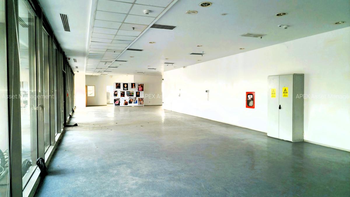 Spații comerciale stradale – Pretabile showroom / servicii medicale / automotive - 2