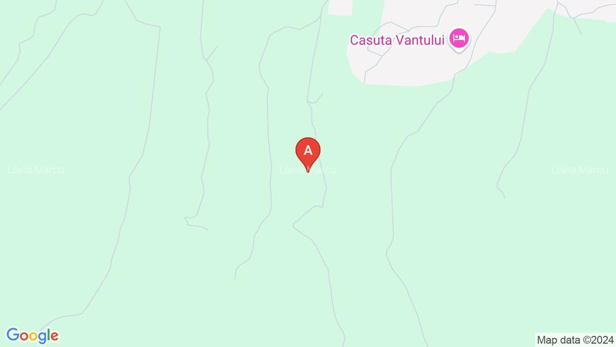 Vand cabana cu teren - 1