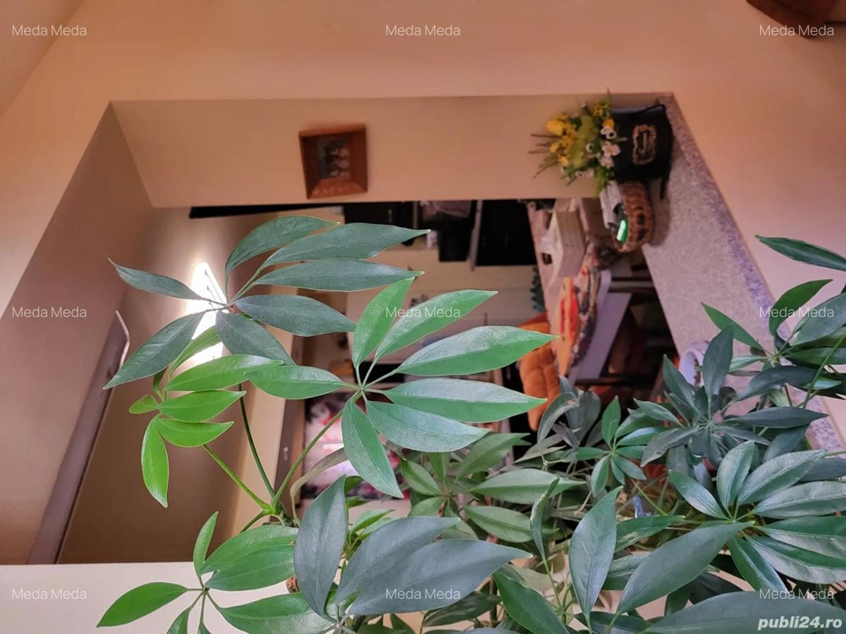 Casa de vanzare zona Blascovici - 4
