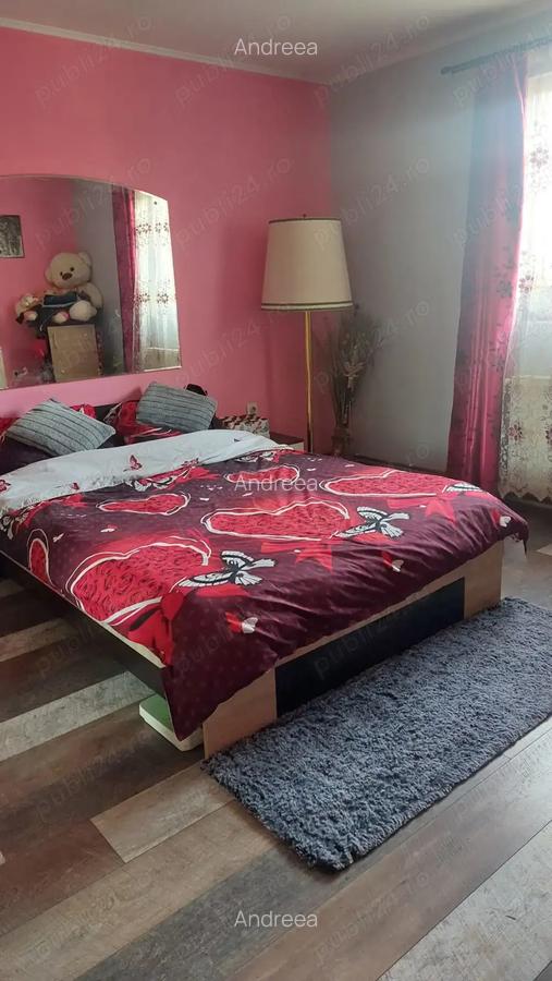 Casa de vanzare in Topolovat Mare - 4