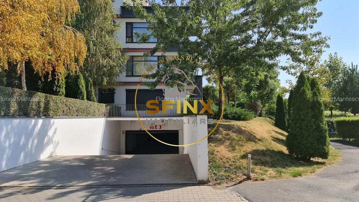 View to lake, large terrace, parking and storage, swimming pool, pet friendly - 13