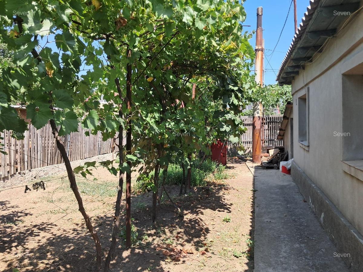Casa 4 camere - Tuzla - zona Centrala - 85.000 euro (Cod E2+E8) - 16