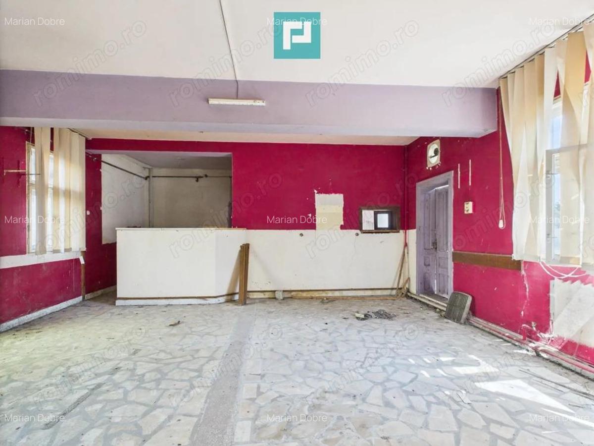 Pensiune in Geoagiu pe malul raului Mure? - 6