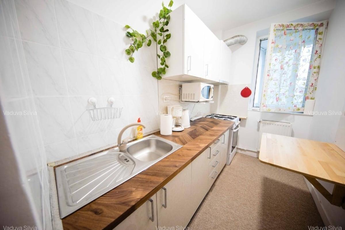 Apartament superb, 2 camere, Piața Unirii - 4