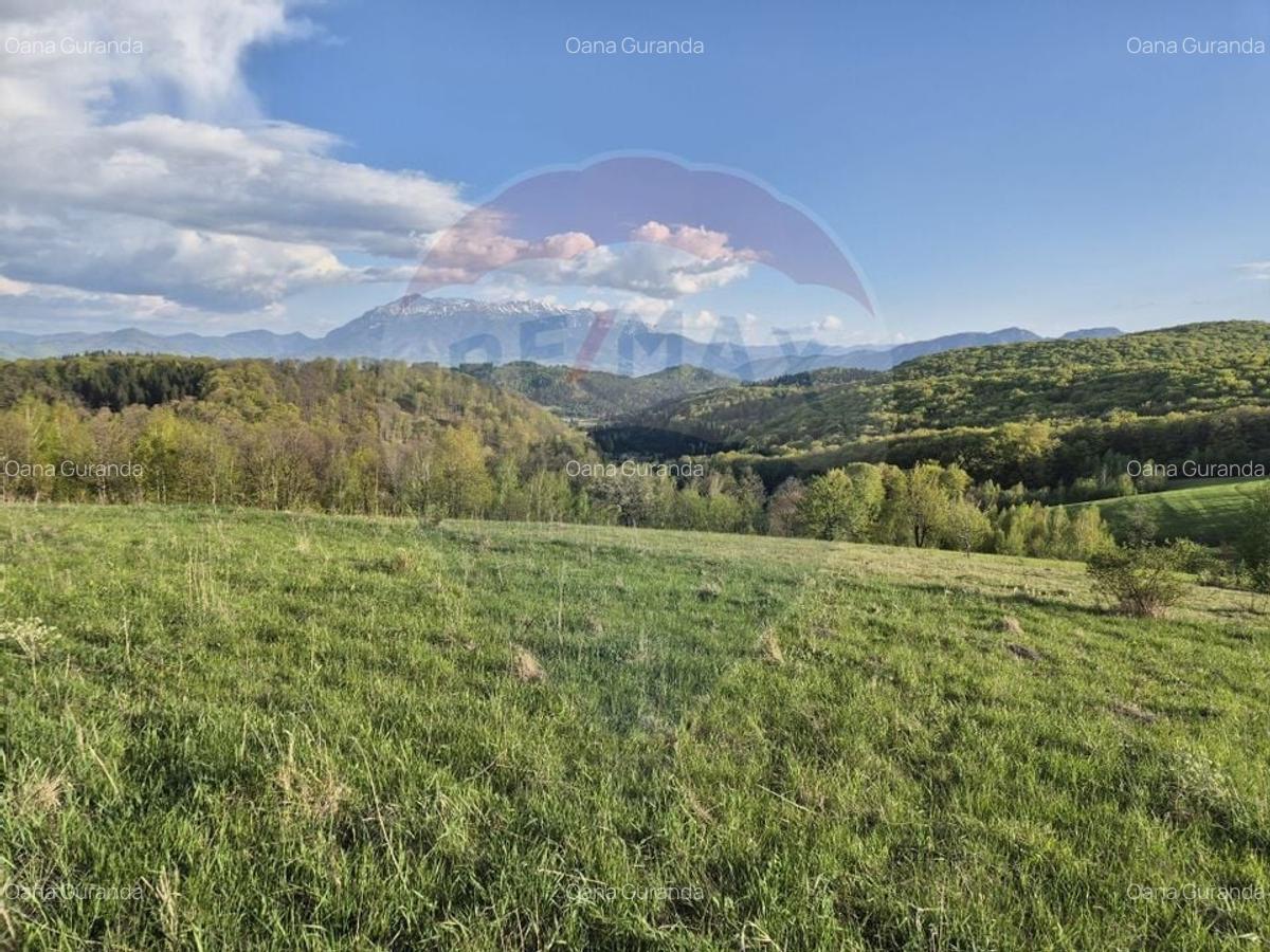 Teren Construcții intravilan de 11600 mp, în Poiana Mărului - 21