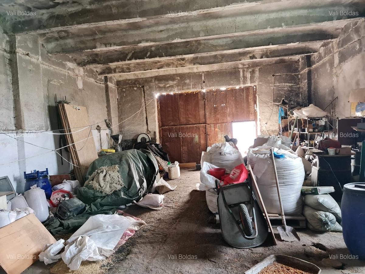 Vânzare Fermă Agricolă – Sinoe - 1