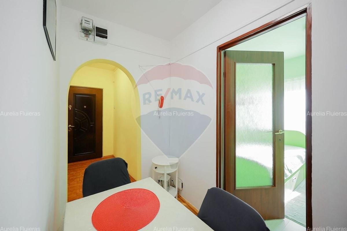 Apartament cu doua camere de vanzare in zona Dacia - 13