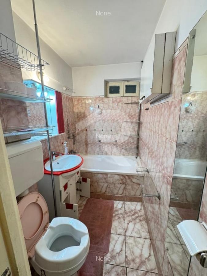 Apartament 2 camere langa Parcul Moghioros - 9