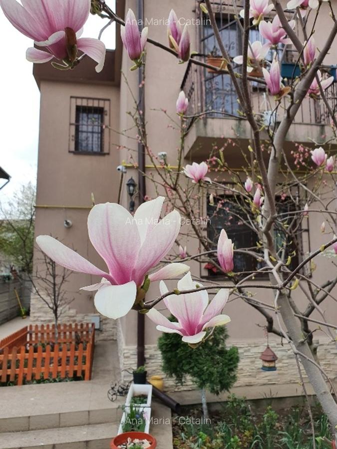 Vila moderna P+1 de vanzare zona Parcul Circului - 1