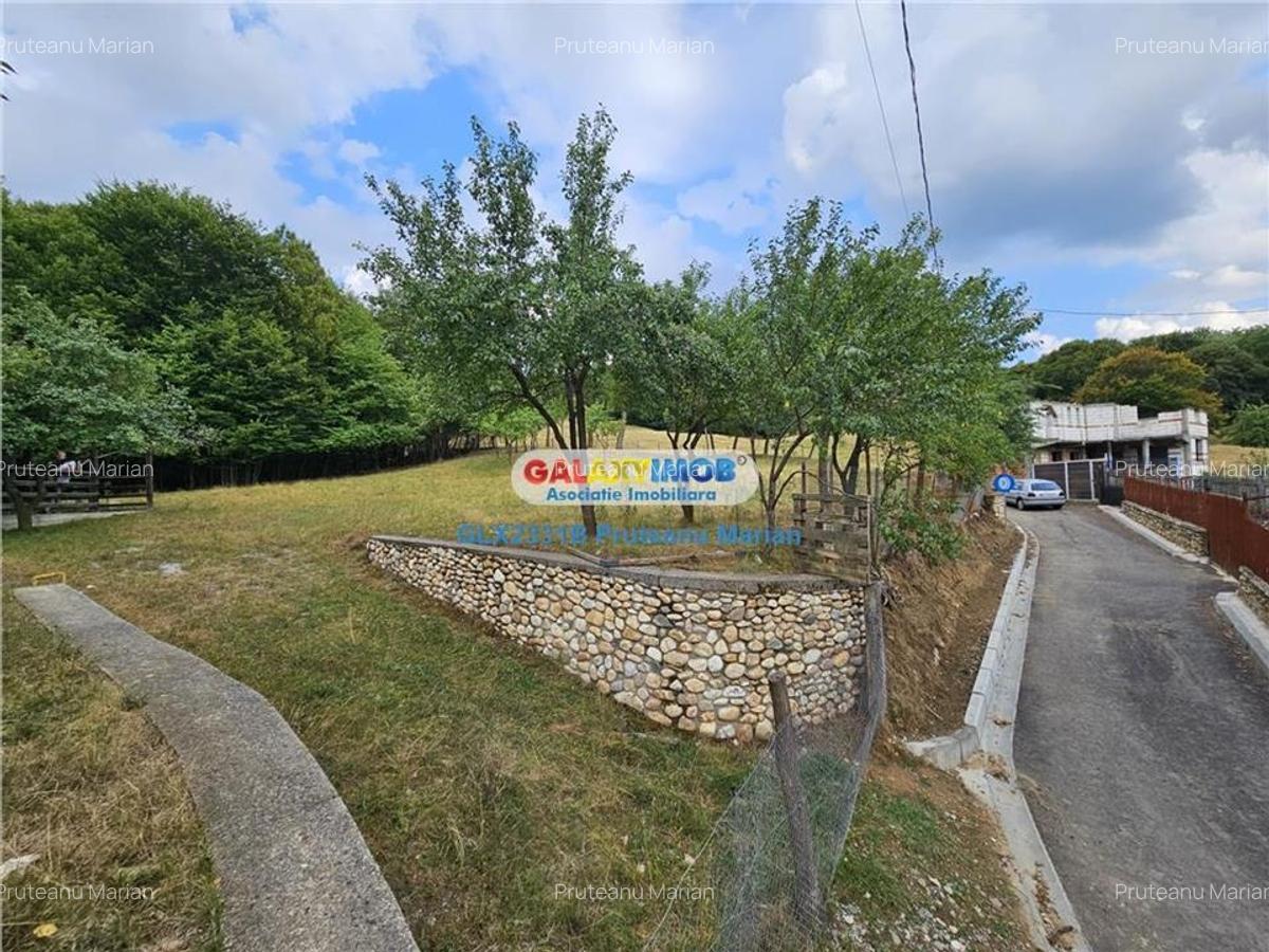 Vanzare teren 2680 m situat la Curtea de Arges cu iesire spre Transfag - 11