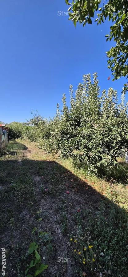 Casa modulara plus teren - 4