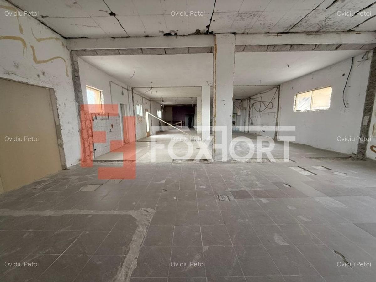 Spațiu industrial, 660 mp în Săcălaz - 1