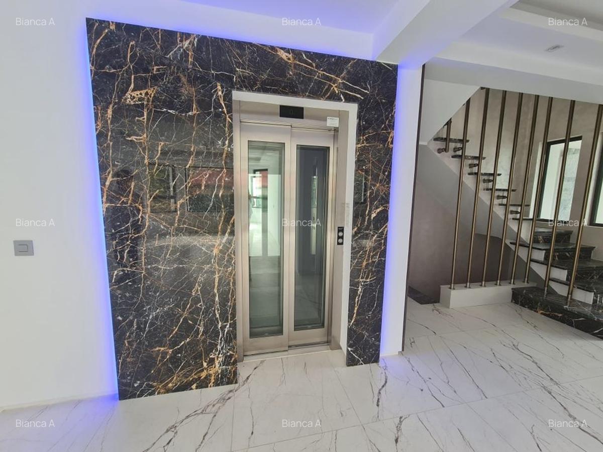 LUX | Casă Individuală | Iancu Nicolae | 10 camere - 3