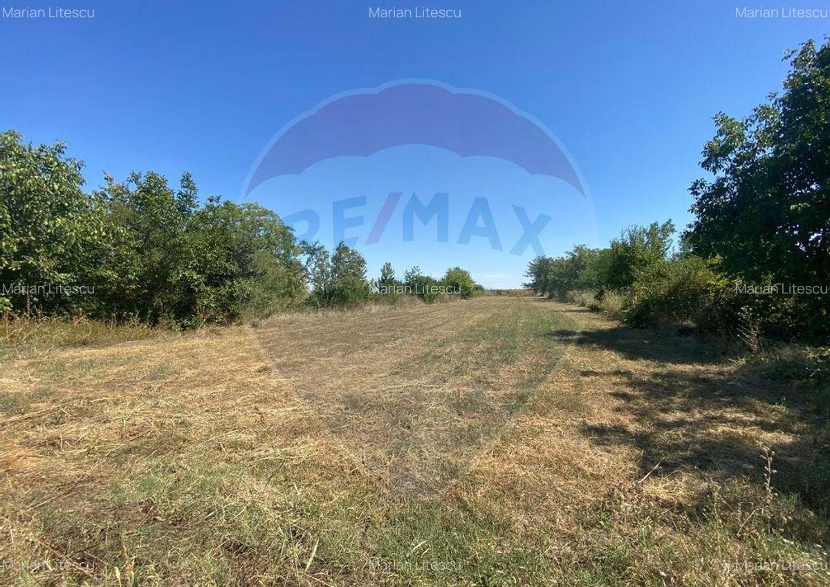 Teren de vanzare, 25km de Bucure?ti, Sine?ti, loc. Lilieci - 2