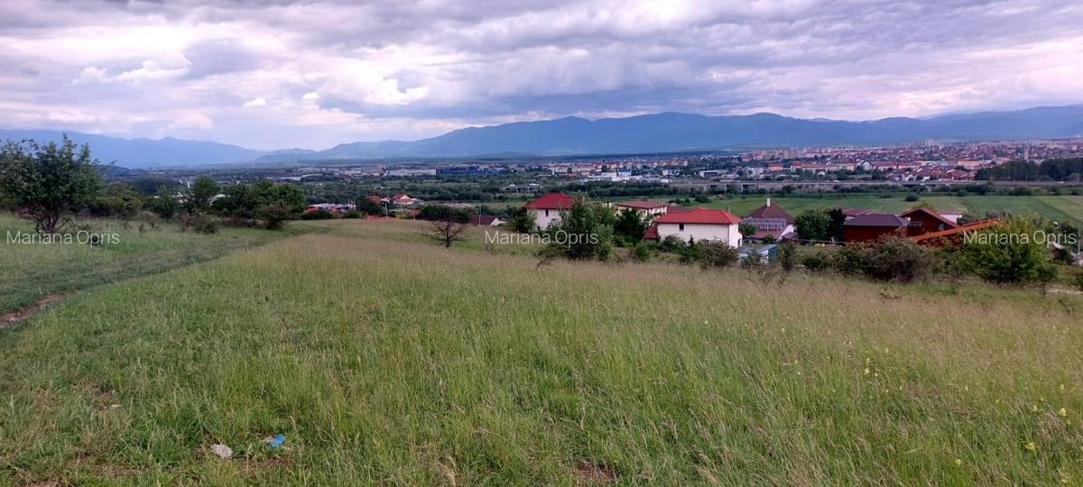 Teren Intravilan 6500mp, spre vanzare in Gusterita - 5