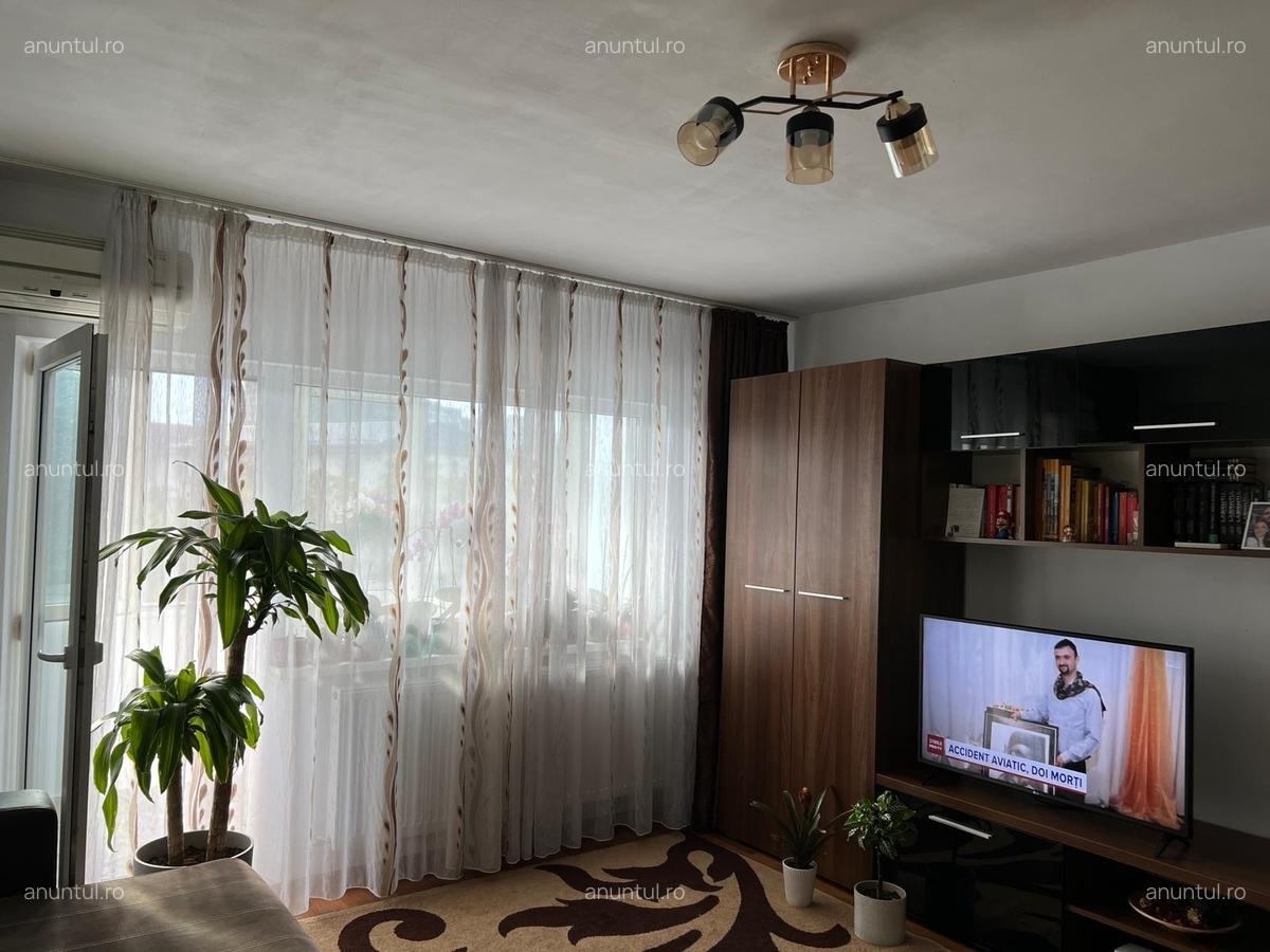 Doamna Ghica- Delfinului - 3