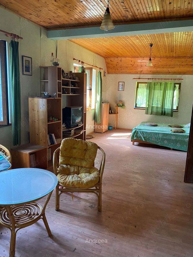 Proprietar, vand casa parter+etaj, 150 mp, curte 3438 mp, Avram Iancu - 9