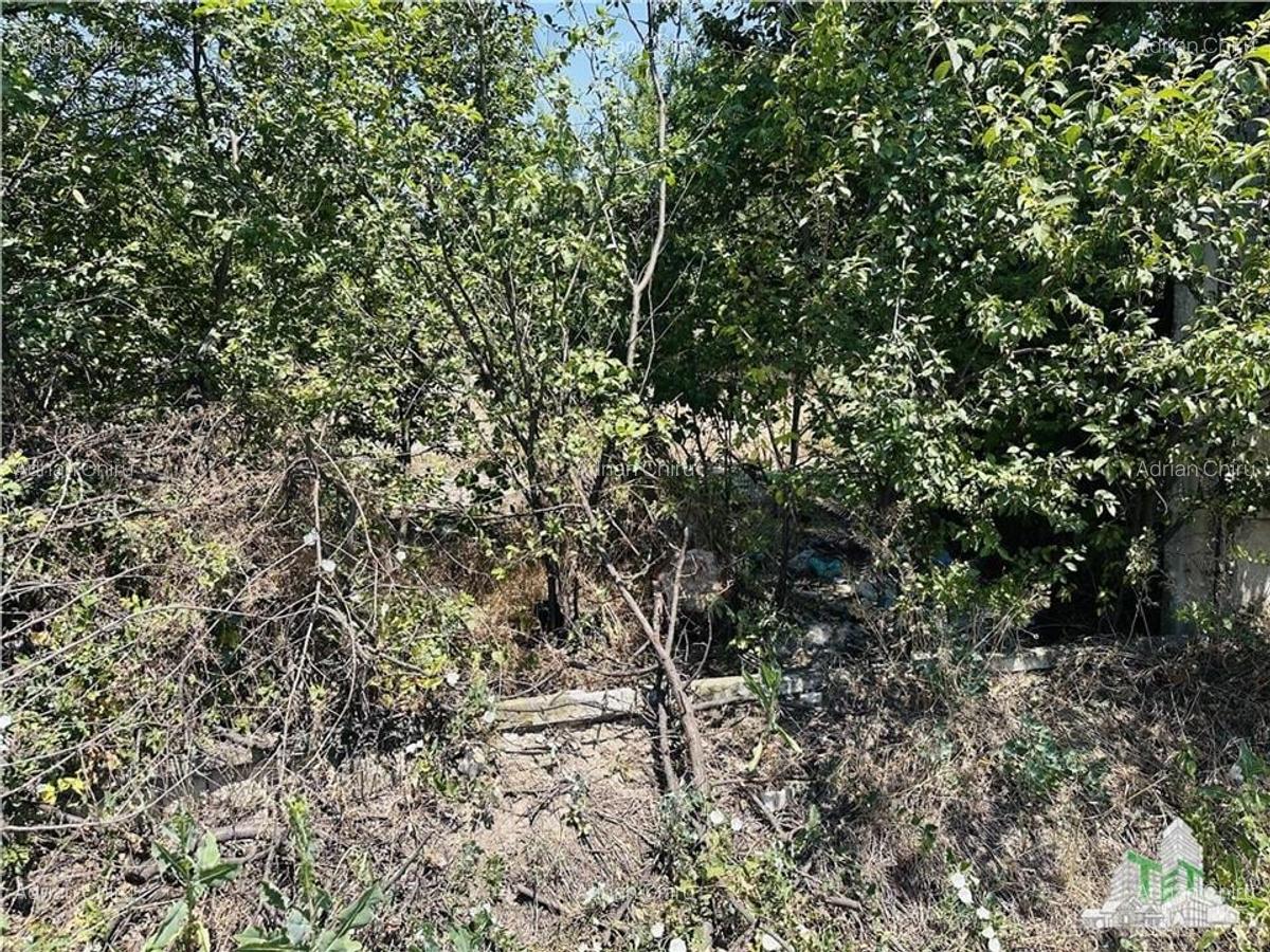 TEREN STRADAL GIULESTI, 50000 mp, la asfalt, intravilan, toate utilitatile, pent - 7