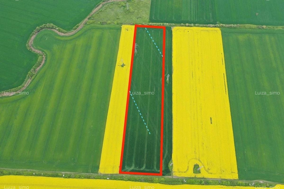 Teren industrial / extravilan în zona COLA – Timișoara - 2