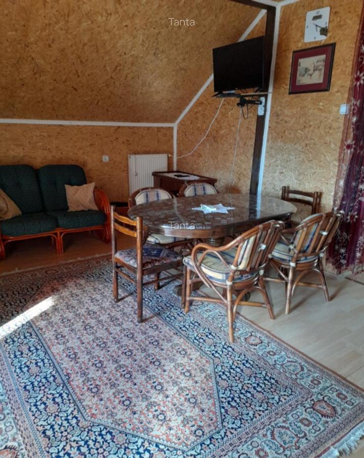 Casa spa?ioasa cu vedere panoramica, in Tekija Serbia (25km de VAMA) - 12