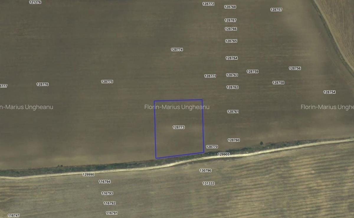 Teren agricol intravilan de 8500 mp, în Valu lui Traian - 3