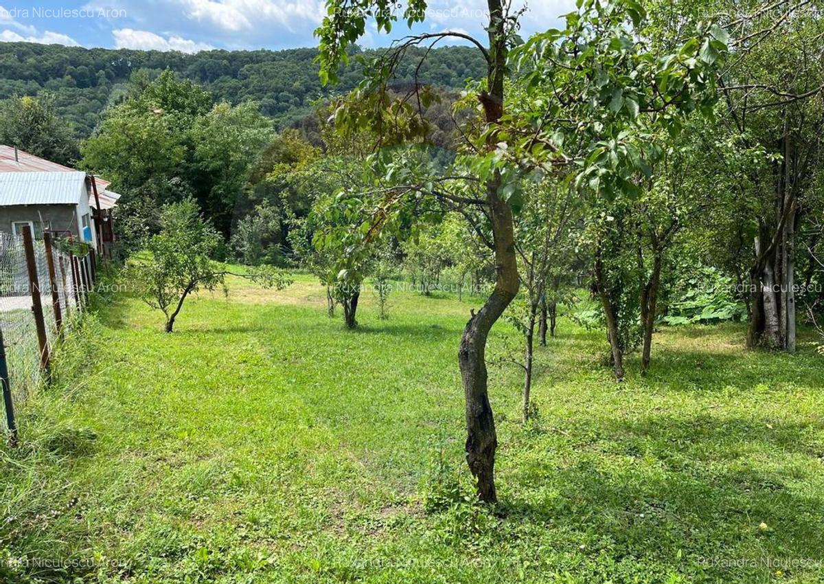 Teren intravilan (fanea?a) de vanzare 2231 mp, Te... - 1