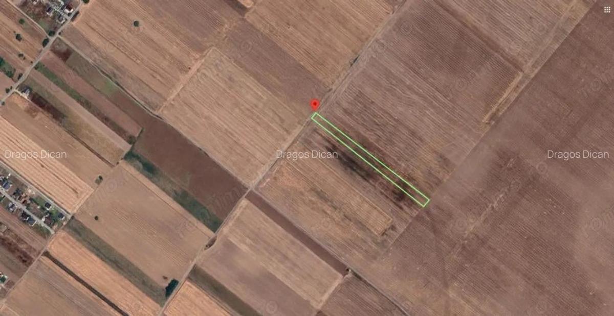 Teren Extravilan In Rate Primaverii Com. Berceni | 4819mp | #EG40 - 1