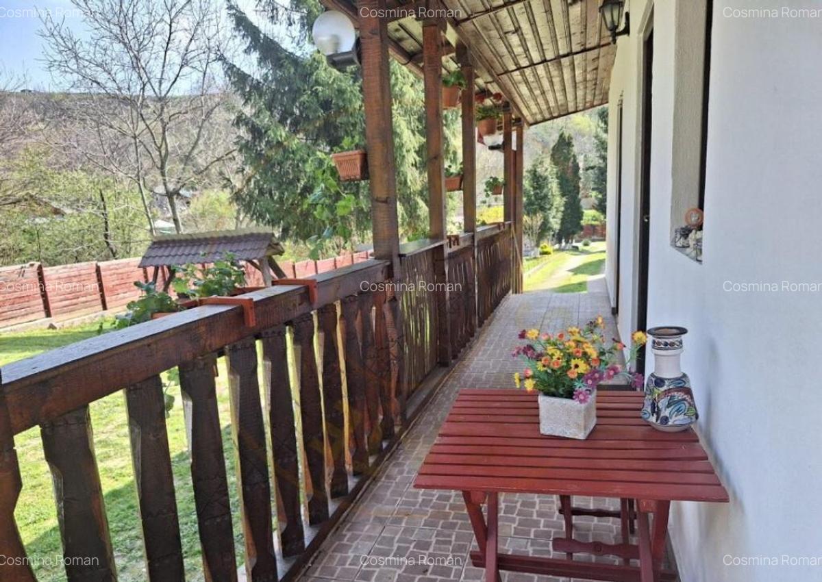 CASA DE VACANTA - UN MIC COLT DE RAI , STEFANESTI, ARGES - 5 CASA DE VACANTA - UN MIC COLT DE RAI , STEFANESTI, ARGES - 5