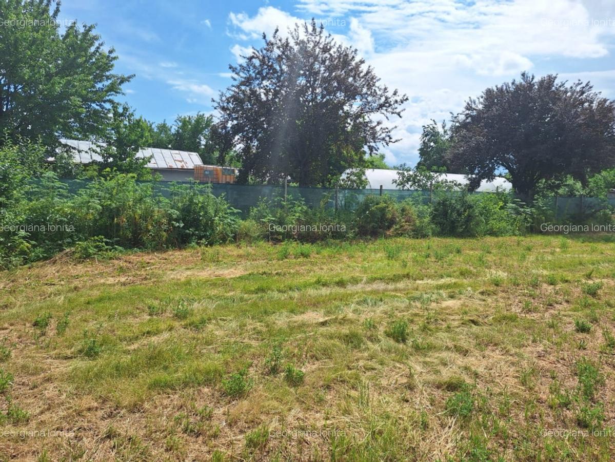 Teren Construcții intravilan de 4186 mp, în Belciug - 5