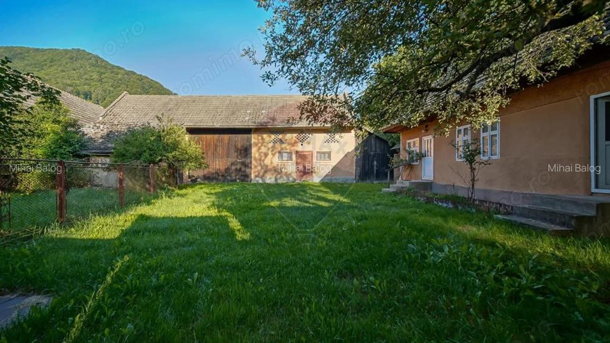 Lini?te, aer curat ?i pamant bun 7255 mp in Vama Buzaului - 4