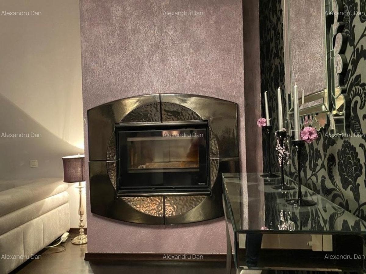 Vila individuala  de vanzare- zona Capitale - 5